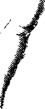 088/088310030003020_2.png