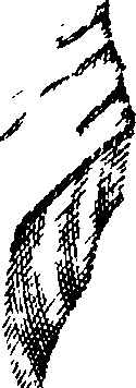 088/088310030003020_3.png