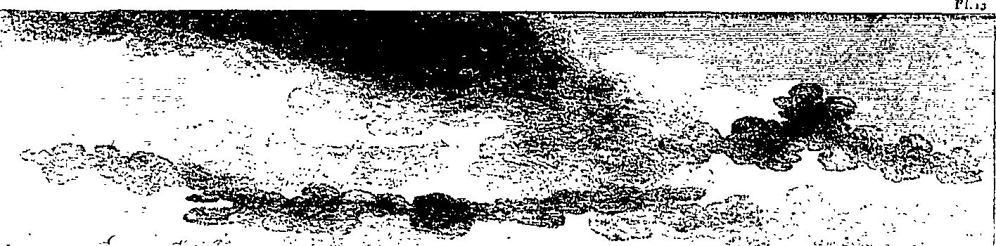 088/088430010000350_1.png