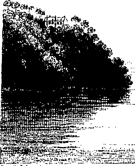 088/088430010000390_0.png