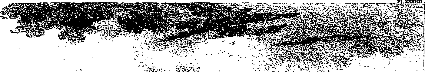 088/088430010000880_0.png