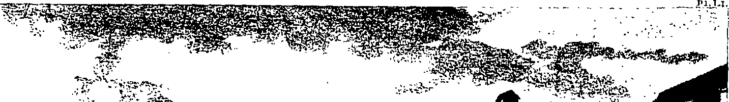 088/088430010001140_0.png