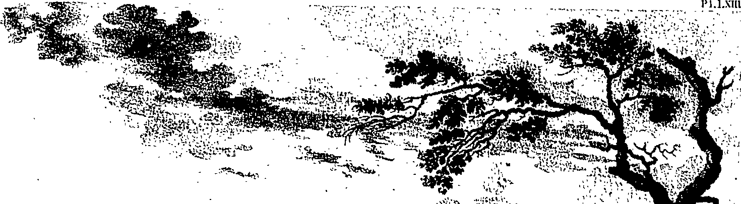 088/088430010001370_1.png