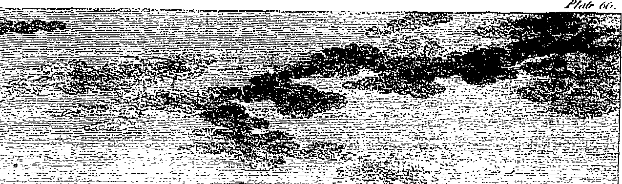 088/088430010001430_1.png