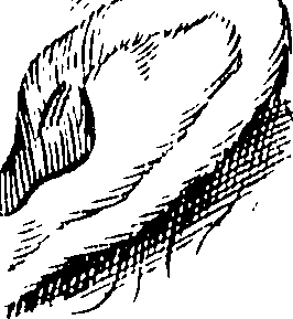 088/088430030104390_0.png