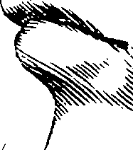 088/088430030104390_2.png