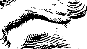 088/088430030104390_3.png