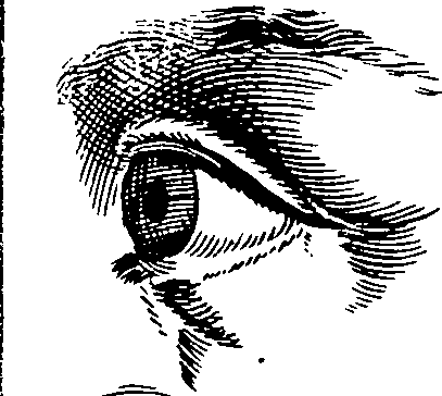 088/088430030104390_5.png