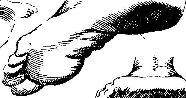088/088430030104400_0.png