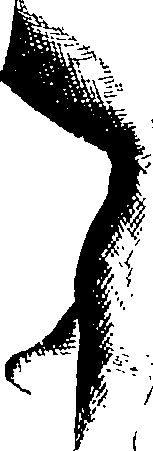 088/088430030104460_0.png