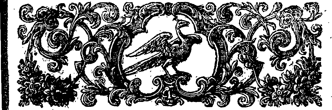 088/088440040000790_0.png