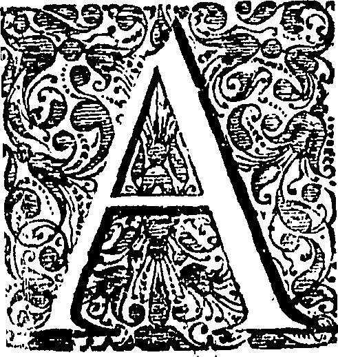 088/088460010000270_1.png
