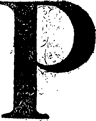 088/088460010000320_0.png