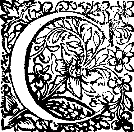 088/088460010000360_1.png