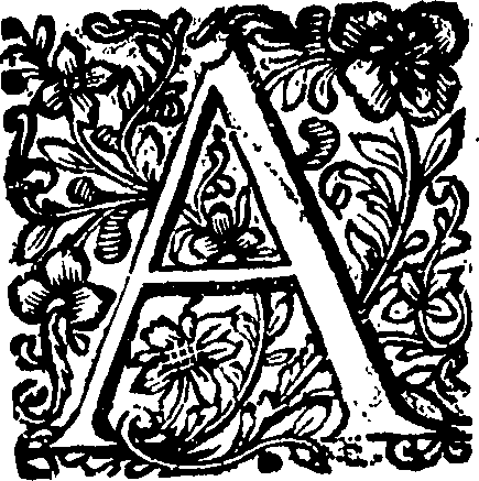 088/088460010000360_3.png