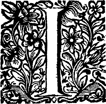 088/088460010000380_1.png