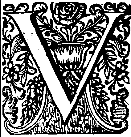 088/088460010000410_3.png