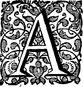 088/088460010000430_11.png