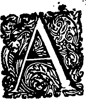 088/088460010000460_8.png