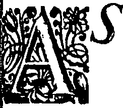088/088460010000570_2.png