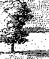 088/088460070001950_0.png