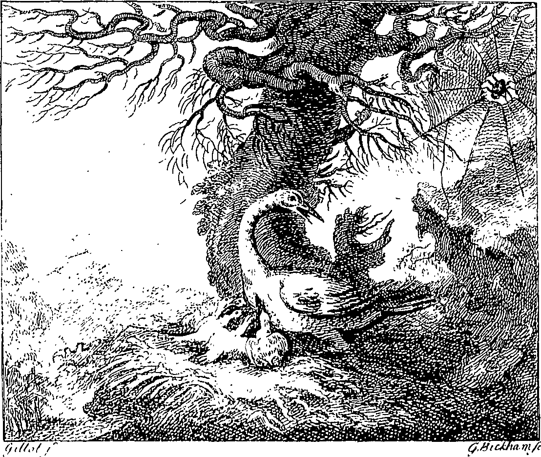 088/088470050000620_0.png