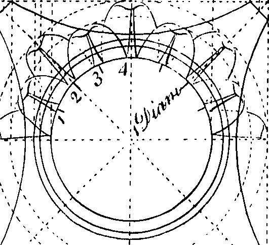 088/088470060000930_1.png