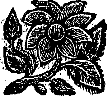 088/088470070000160_0.png
