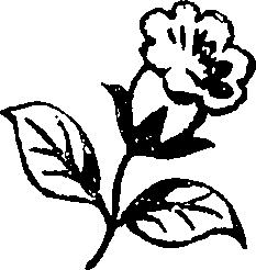 088/088470090000040_5.png