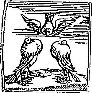 088/088470090000100_1.png
