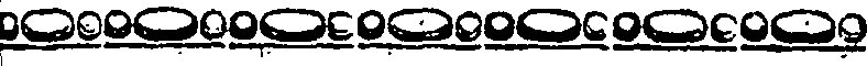 088/088490040002910_0.png