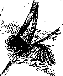 088/088530020000010_0.png