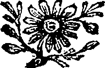 088/088610070000790_0.png