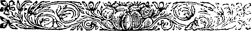 088/088610070000800_1.png