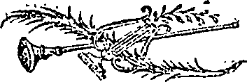 088/088610100000010_0.png