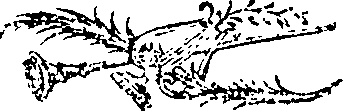 088/088610140000030_0.png
