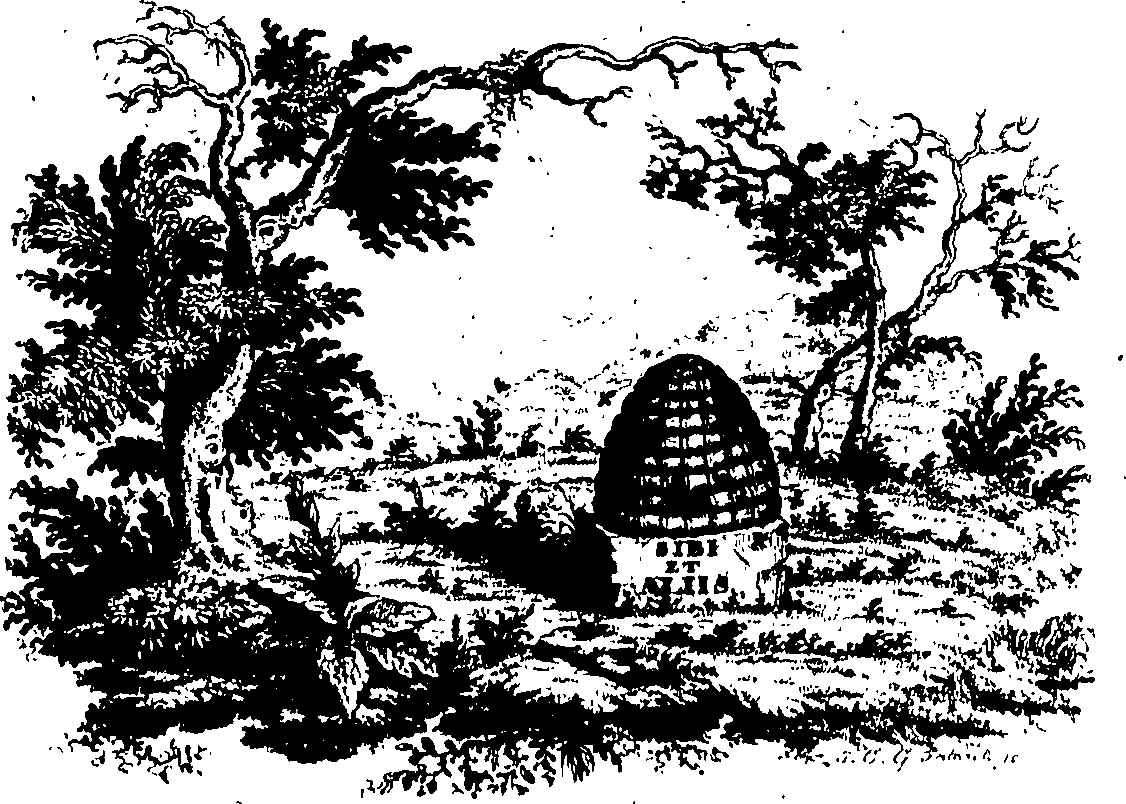 088/088650010100010_0.png