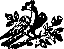 088/088650010100900_0.png
