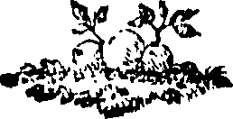 088/088650010102540_0.png