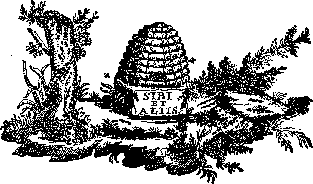 088/088650010103830_0.png