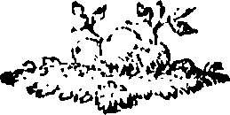 088/088650010105150_0.png