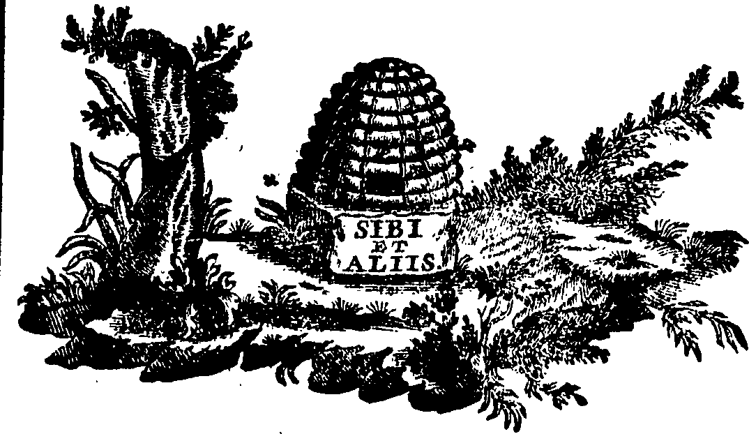 088/088650010105740_0.png