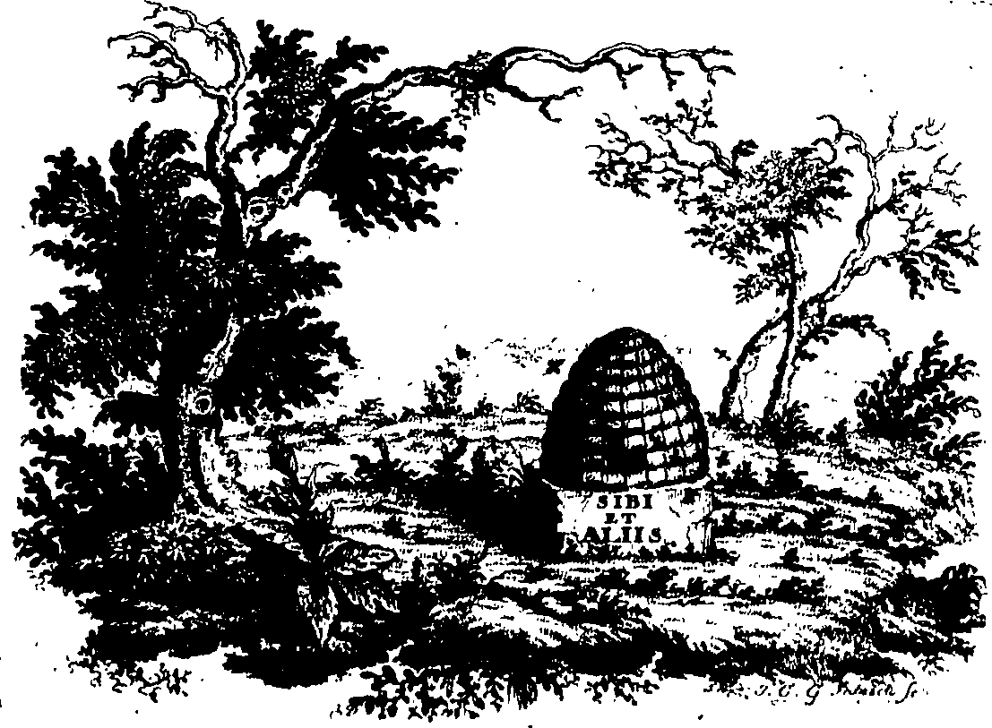 088/088650010200010_0.png