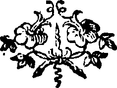 088/088650010203580_0.png