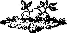 088/088650010203620_0.png