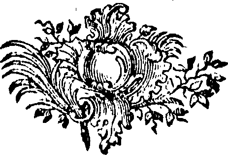 088/088650010203840_0.png