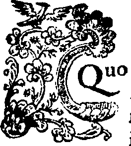 088/088650010203860_0.png