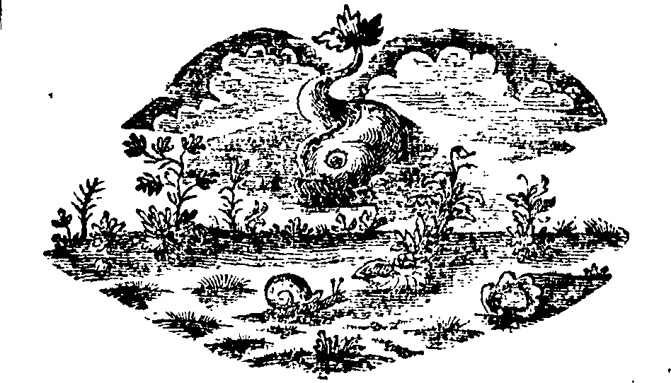 088/088650010205740_0.png