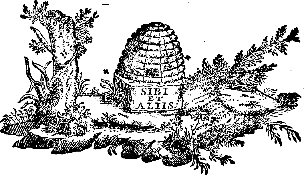 088/088650010205760_0.png