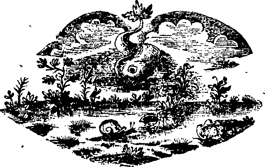 088/088650010301900_0.png